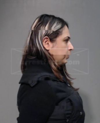 Virginia Ibanez Garibaldi