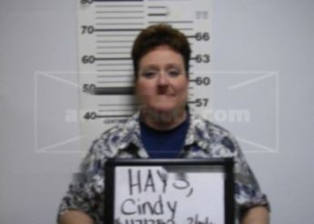 Cindy Ann Hays