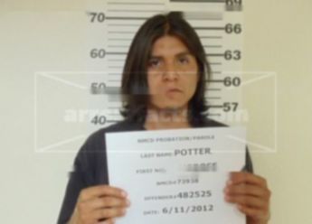 Ambrose Lee Potter