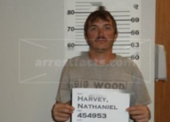 Nathaniel B Harvey