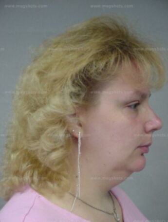 Tammy L Brice