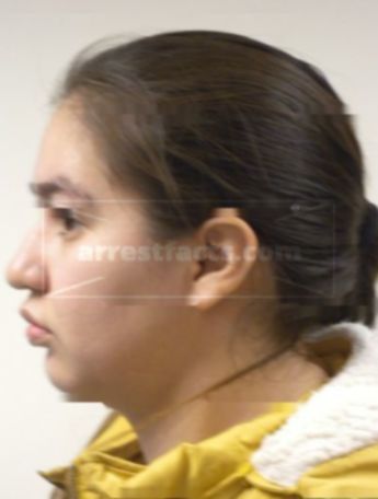 Mollie D Chavez