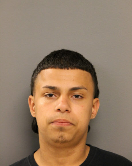 Brandon L Rosario