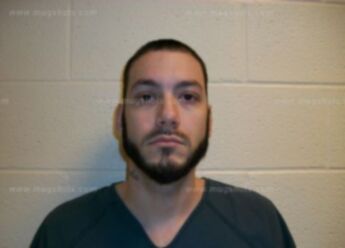 Walter L Wilson