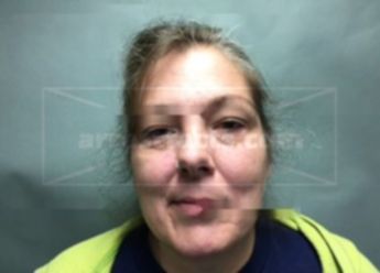 Cheryl Ann Chase