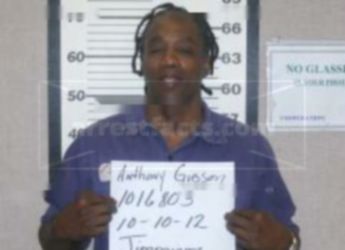Anthony Gibson