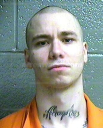 Andrew S Kembel
