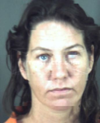 Terri Lynn Stueve