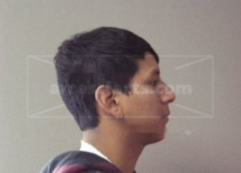 Ryan M Guldan