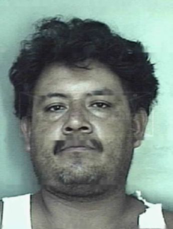 Pacheco Alvarado