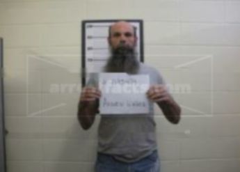 Andrew David Walker