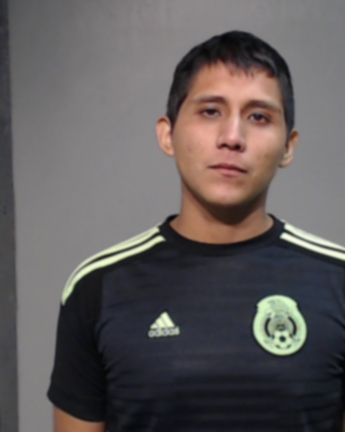 Ricardo Vargas Araujo