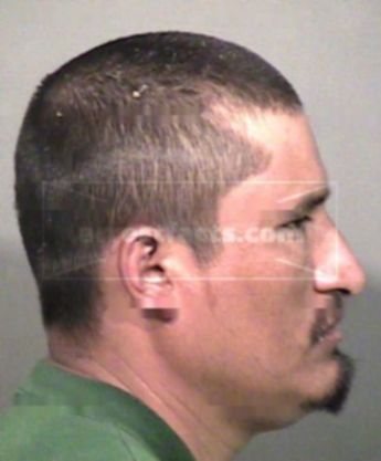 Mario P Olmos