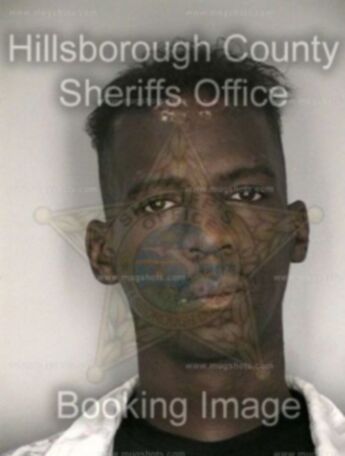 Jarret K Schley