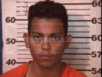 Victor Parra Gamez