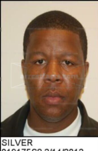 Rodney L Silver