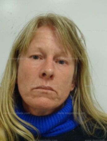Theresa Ann Lisenbee