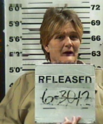 Sheila C Lester