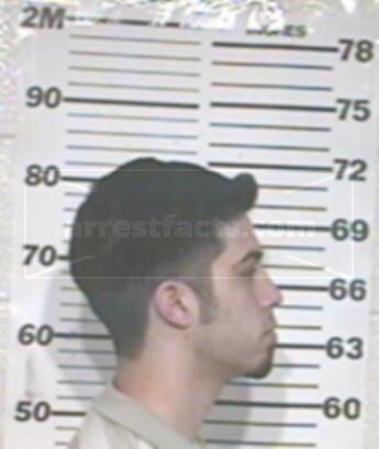 Patrick Shane Villarreal