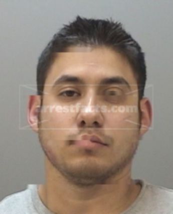 Stephen Ryan Flores