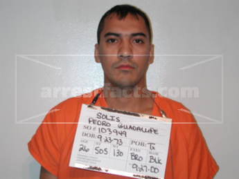Pedro Guadalupe Solis