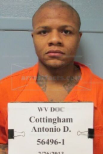 Antonio Devon Cottingham