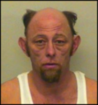 Carlton Thomas Rollins