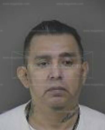 Rudy Castillo