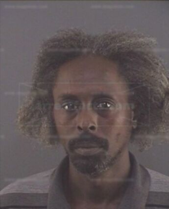 Marcus M Linwood