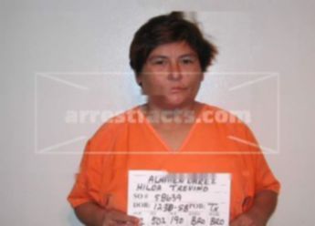 Hilda Trevino Alamendarez