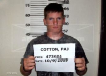 Paj Cotton