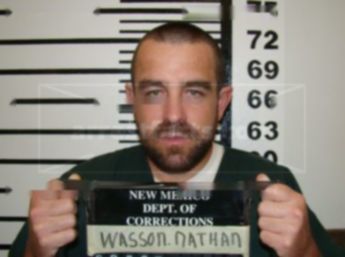 Nathan Gordon Wasson