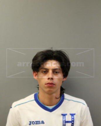 Alvaro Alcides Castellanos-Pineda