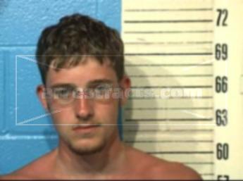 Anson Guy Williamson