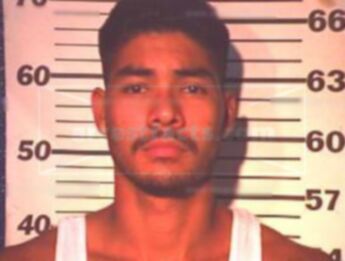 Pedro Linan Vega Ibarra