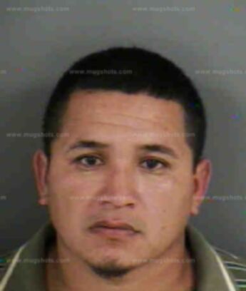 Bernal Ortiz