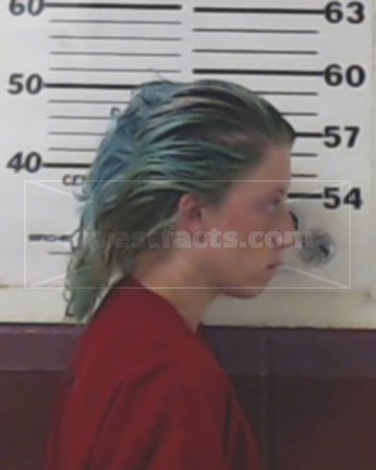 Taylor Denise Gilley