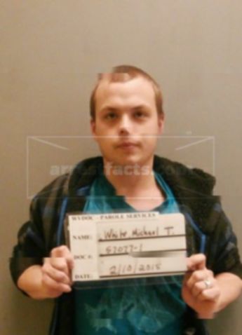 Michael Todd Todd White