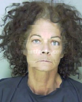 Renee Syphurs Johnson