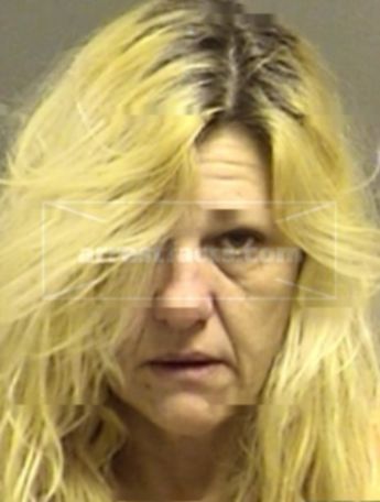 Tammy Mitchell Haywood