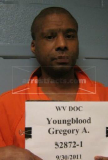 Gregory A Youngblood