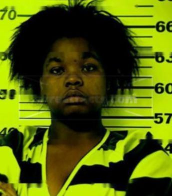 Meganne Renyia Gillespie