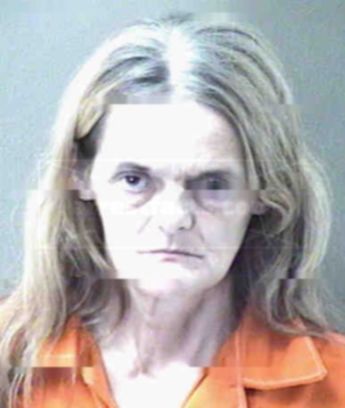 Janice Elaine O'brien