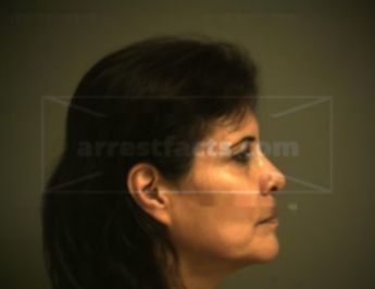 Junia Lorena Saucedo Castor