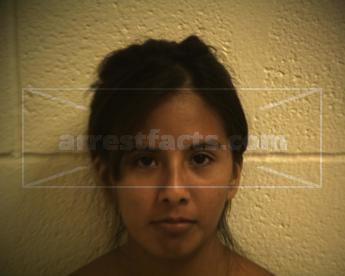 Lizbeth Gonzalez Vasquez