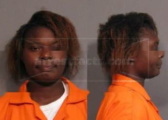 Brianna Rochelle Priest
