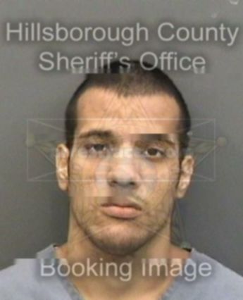 Nicholas J Carrion