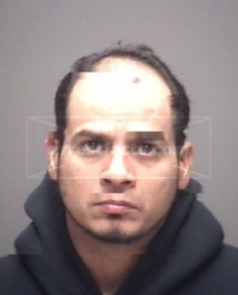 Anthony . Mcgraw
