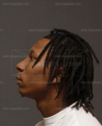 Chante Lamar Williams
