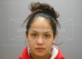 Brandi J Metoxen
